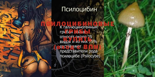 кокс Волосово