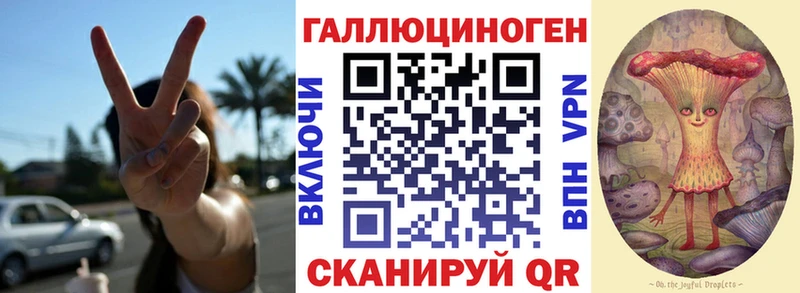 Галлюциногенные грибы ЛСД  Карачаевск 