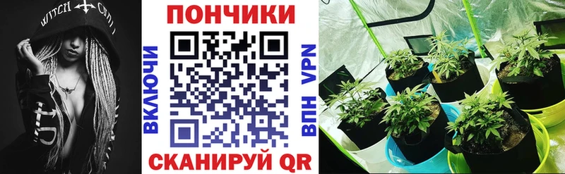 Бошки Шишки сатива  Карачаевск 